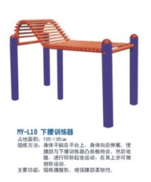 L10����ѵ����