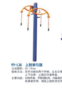 L36��֫ǣ����